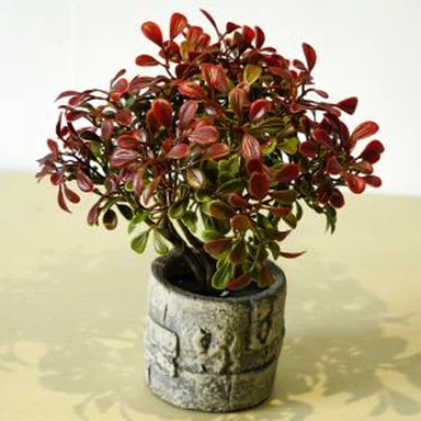 Mākslīgās sarkanās lapas potted plant