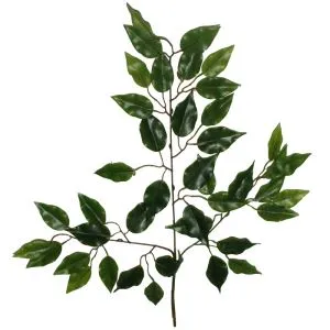 Vairumtirdzniecība mākslīgās zīda Ficus lapas